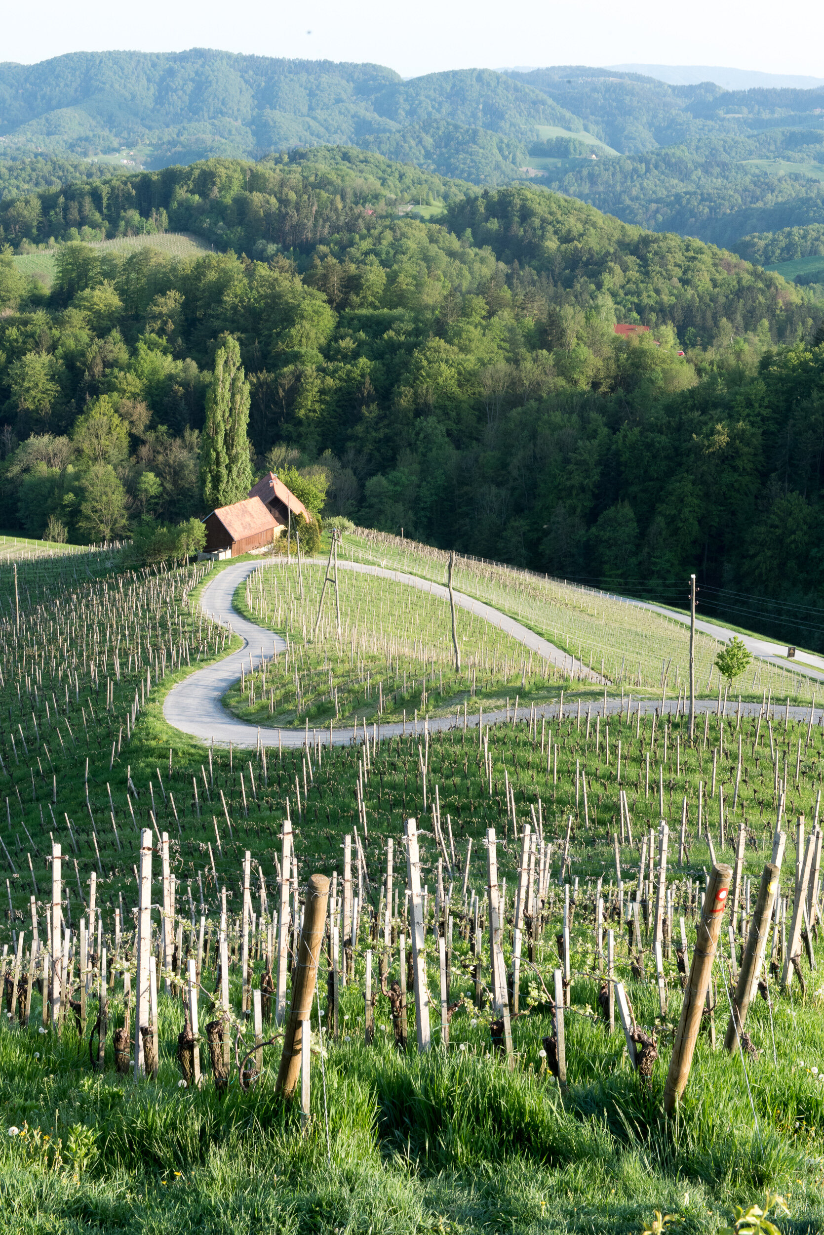 "Heart-Shaped Road", Zgornja Kungota, Slovenia, 2018