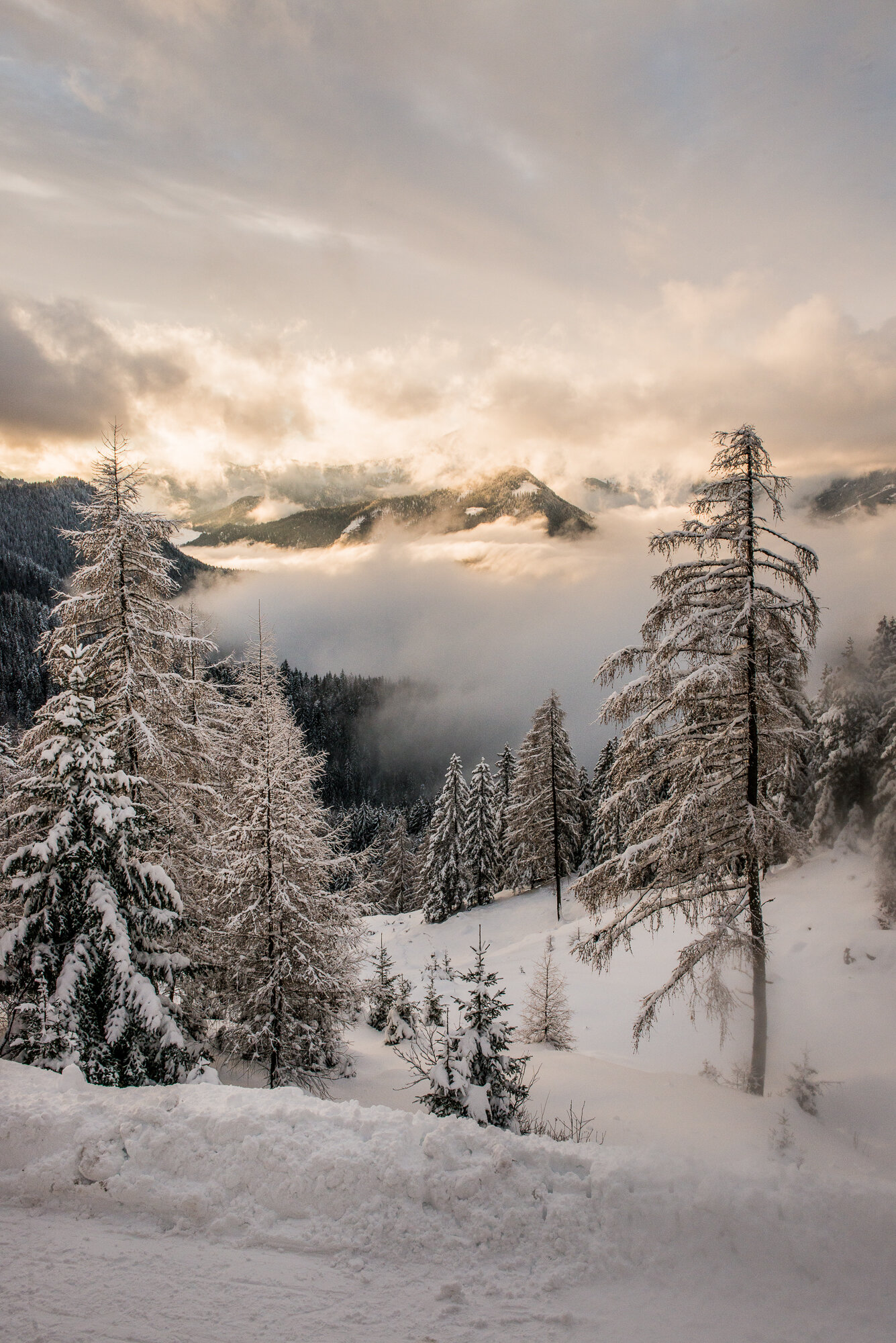 "Bavarian Snowscape", Bavaria, Germany, 2019