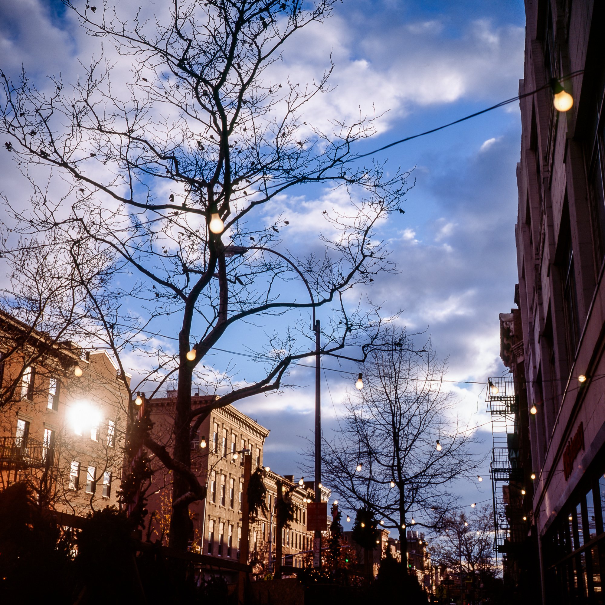 "Court Street Lights" Brooklyn, NY 2011