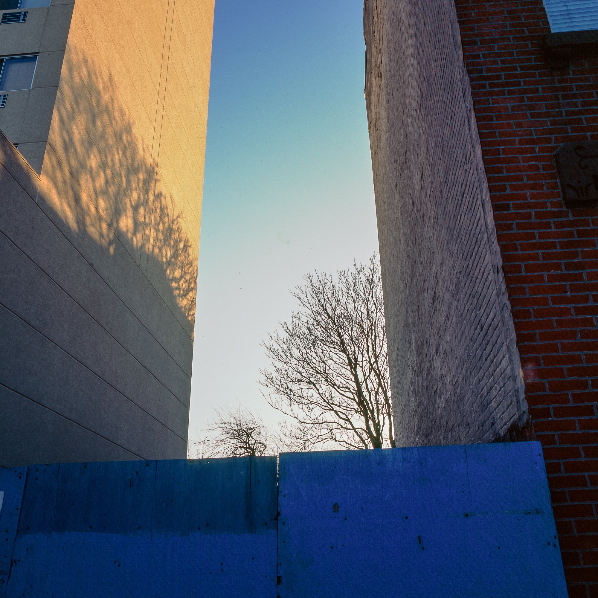 "Court Street Construction" Brooklyn, NY, 2009