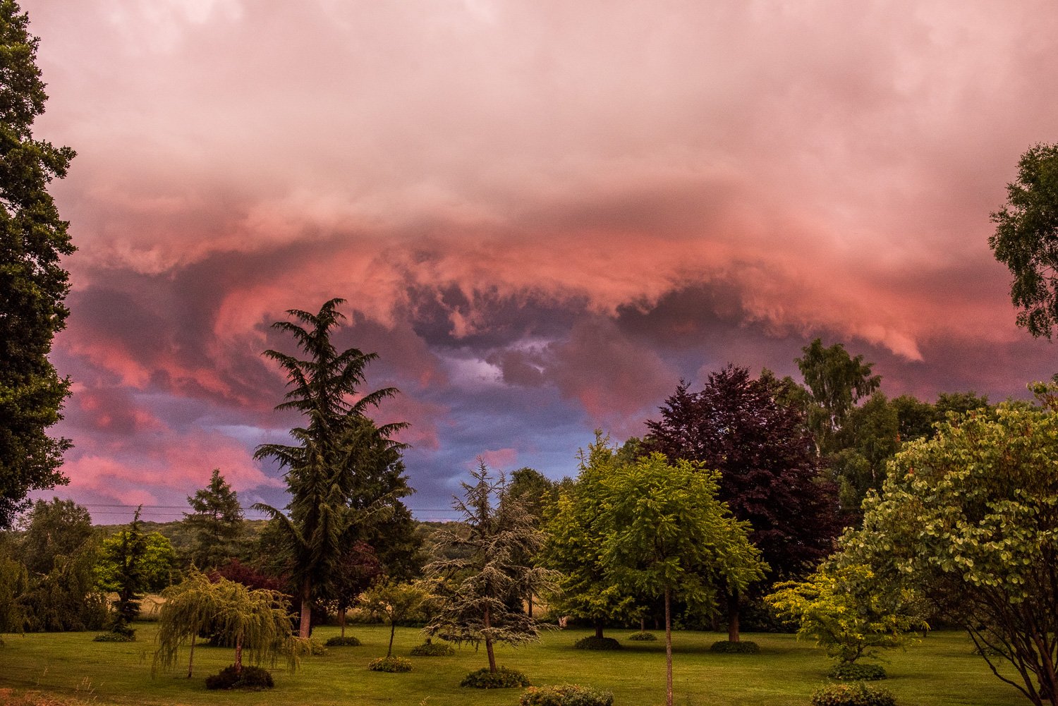 "Garden Storm"	Douville-sur-Andelle, France, 2020