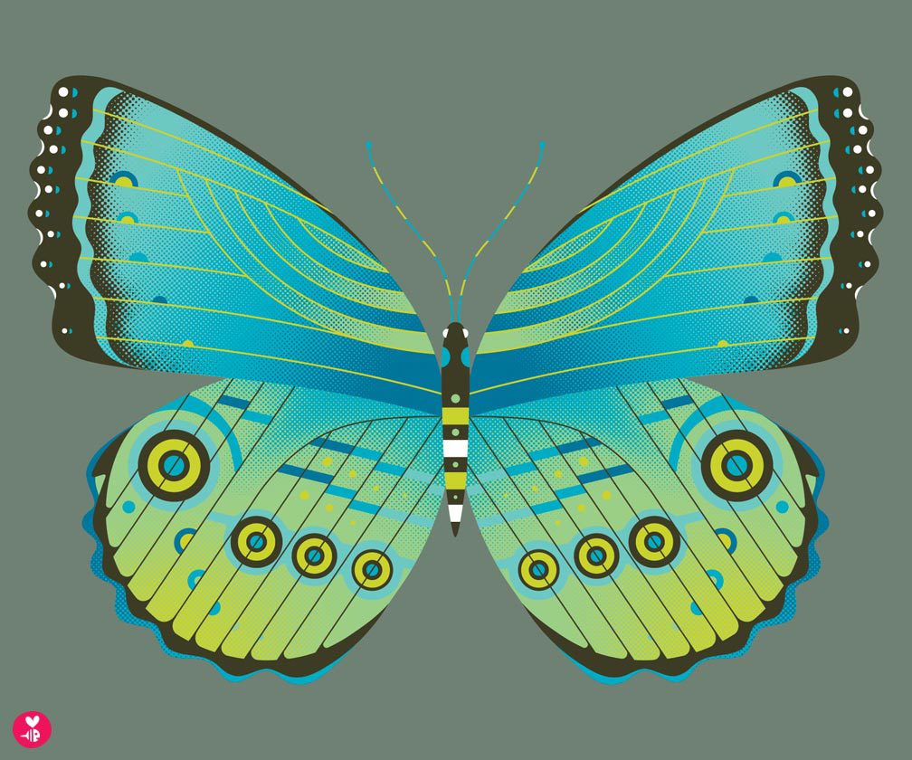 morpho butterfly print