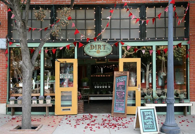 dirt_image_1.jpg