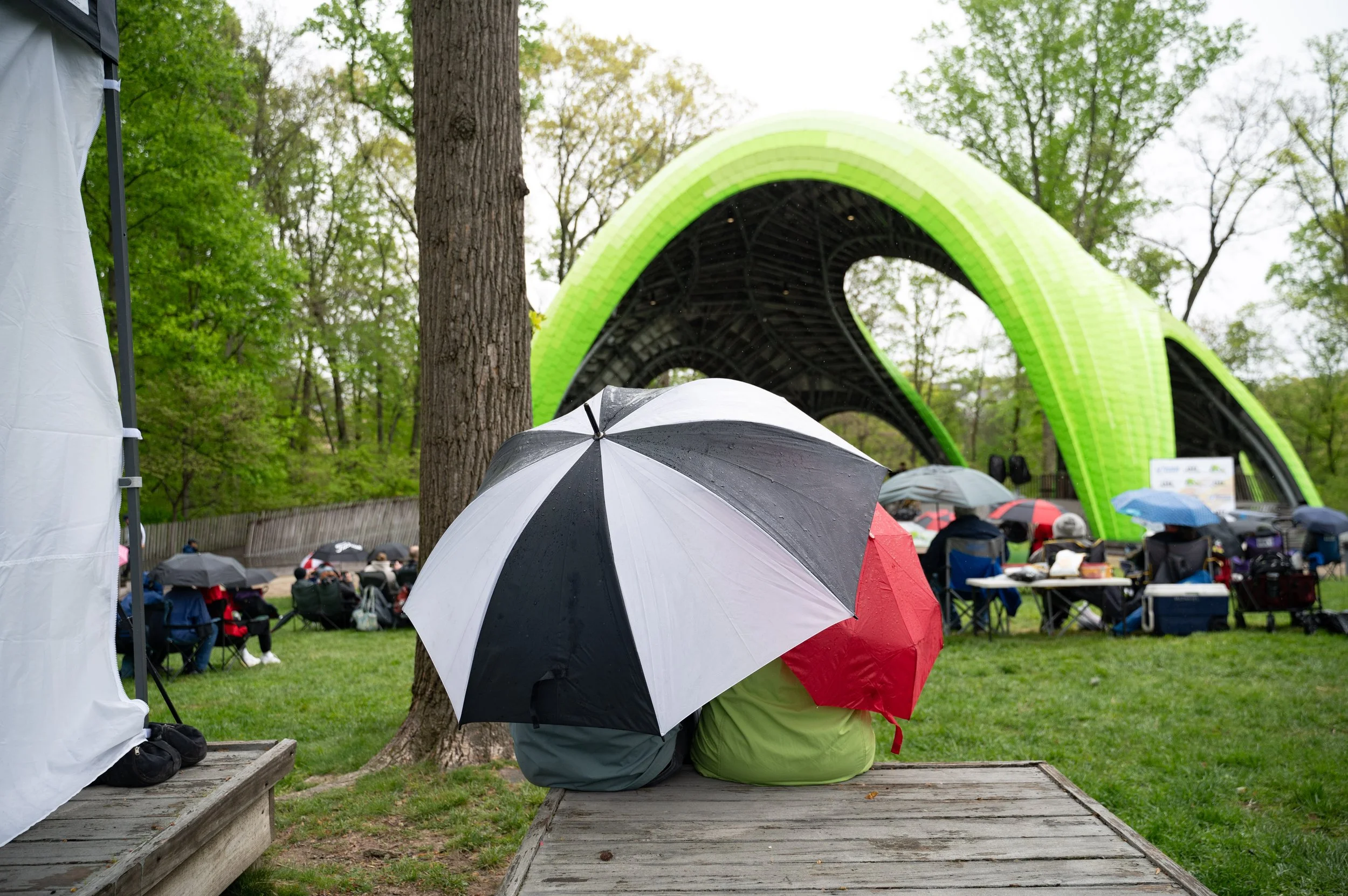 20240427 Jazz in Woods-1233.jpg