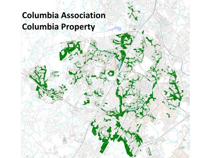 Downtown Development Presentation.038.png