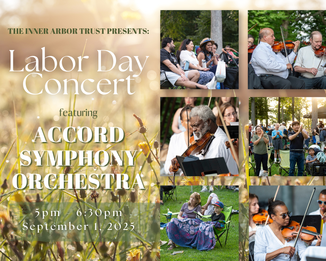 Labor Day Concert with Accord Symphony Orchestra
