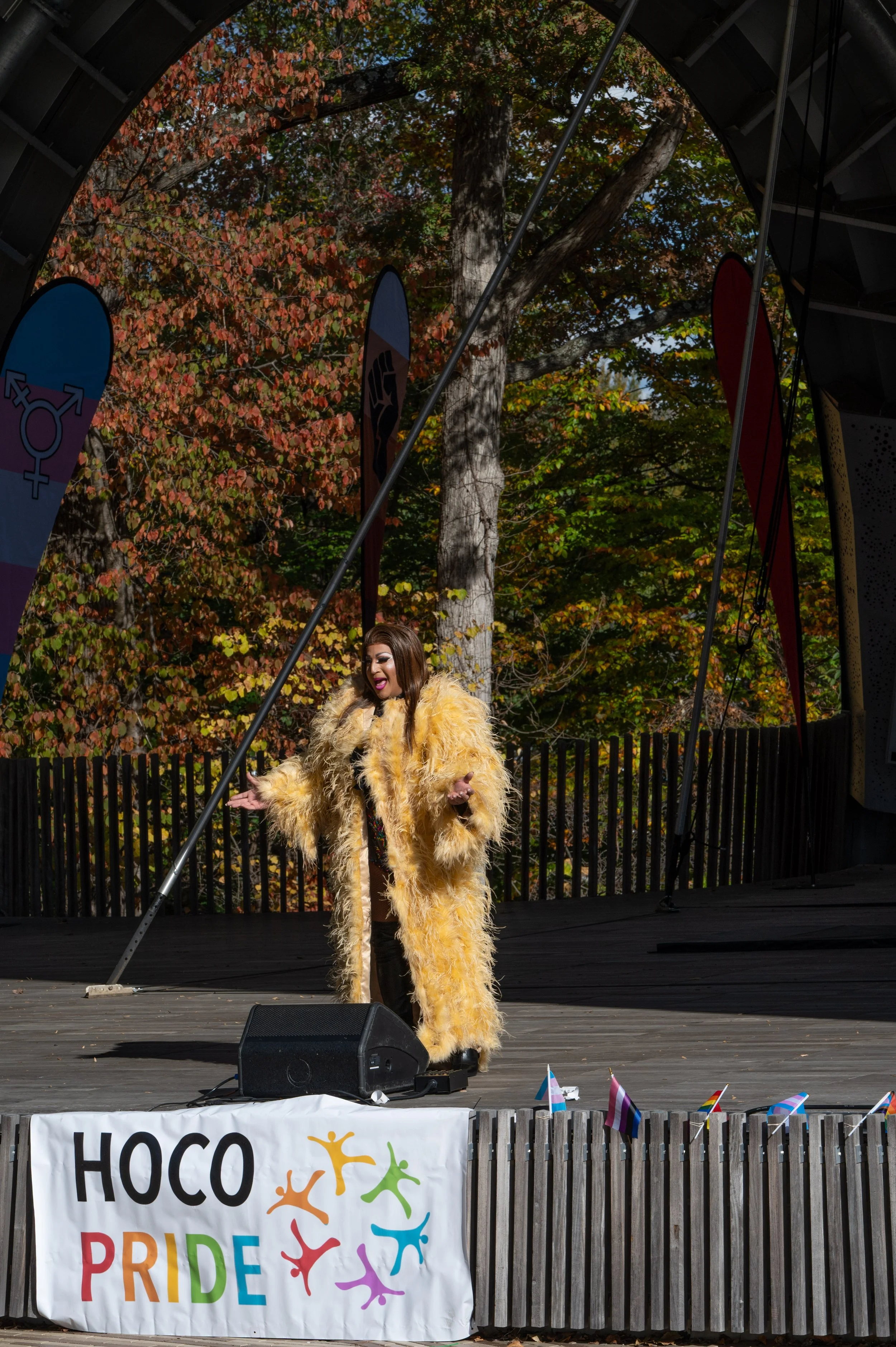 20251026 Pride Chrysalis-1357.jpg