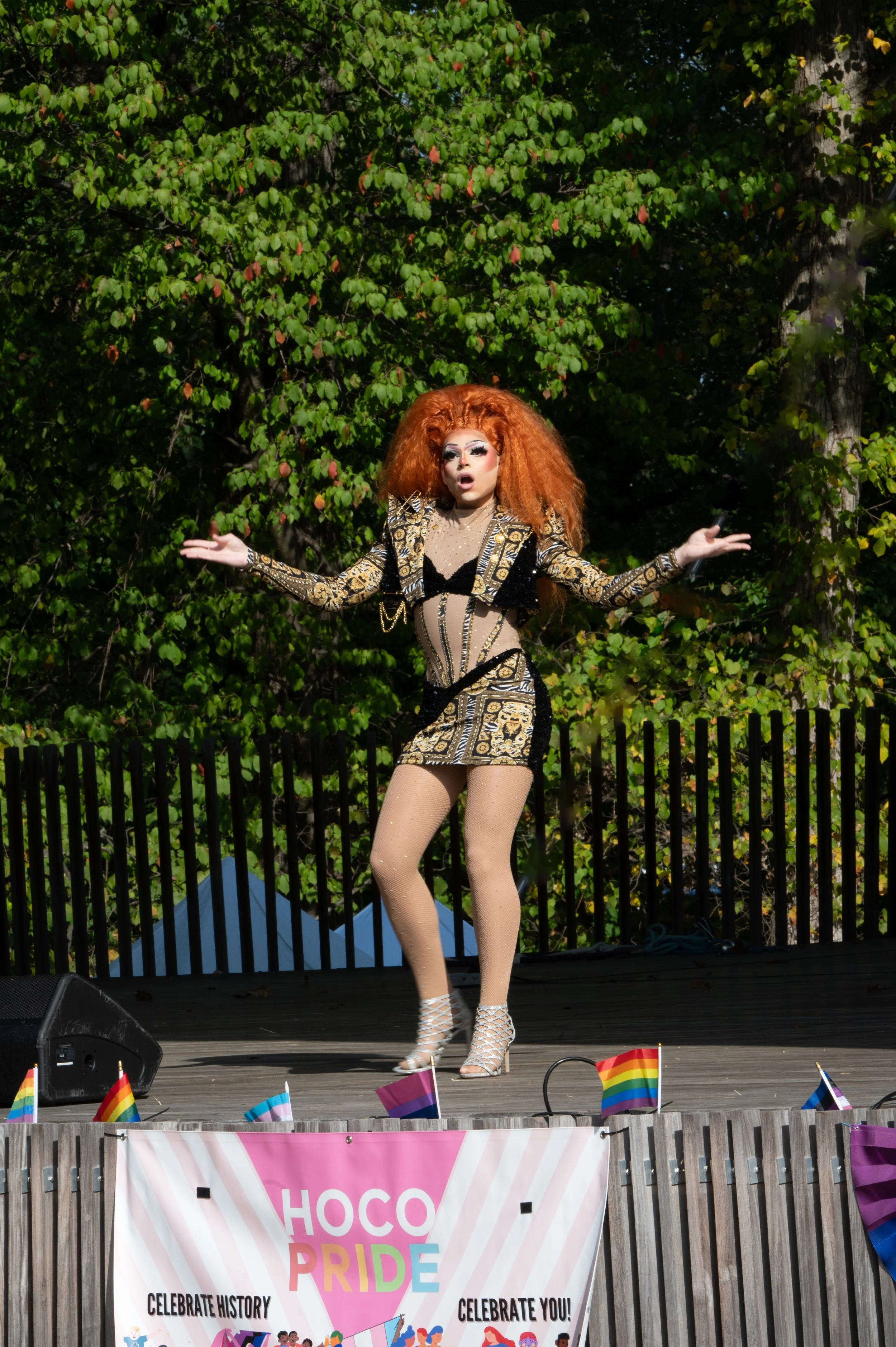 20241013 HOCO Pride Festival Chrysalis-1325.jpg