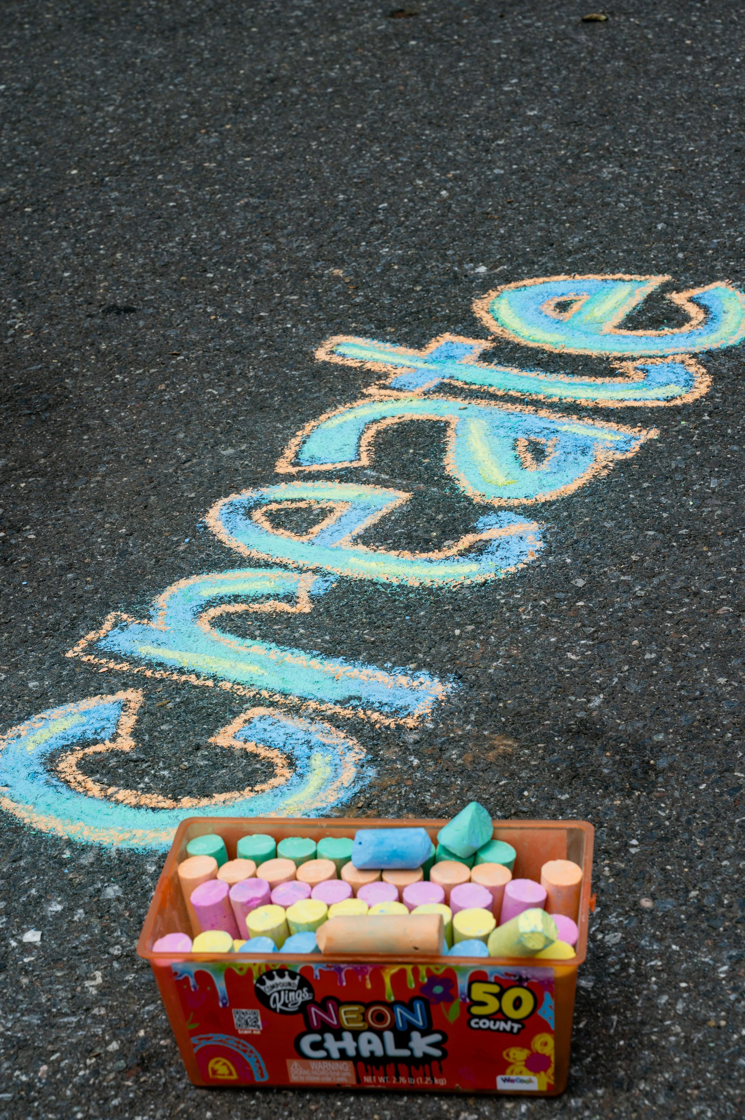 20250629  Chrysalis Maker's Faire-1118.jpg