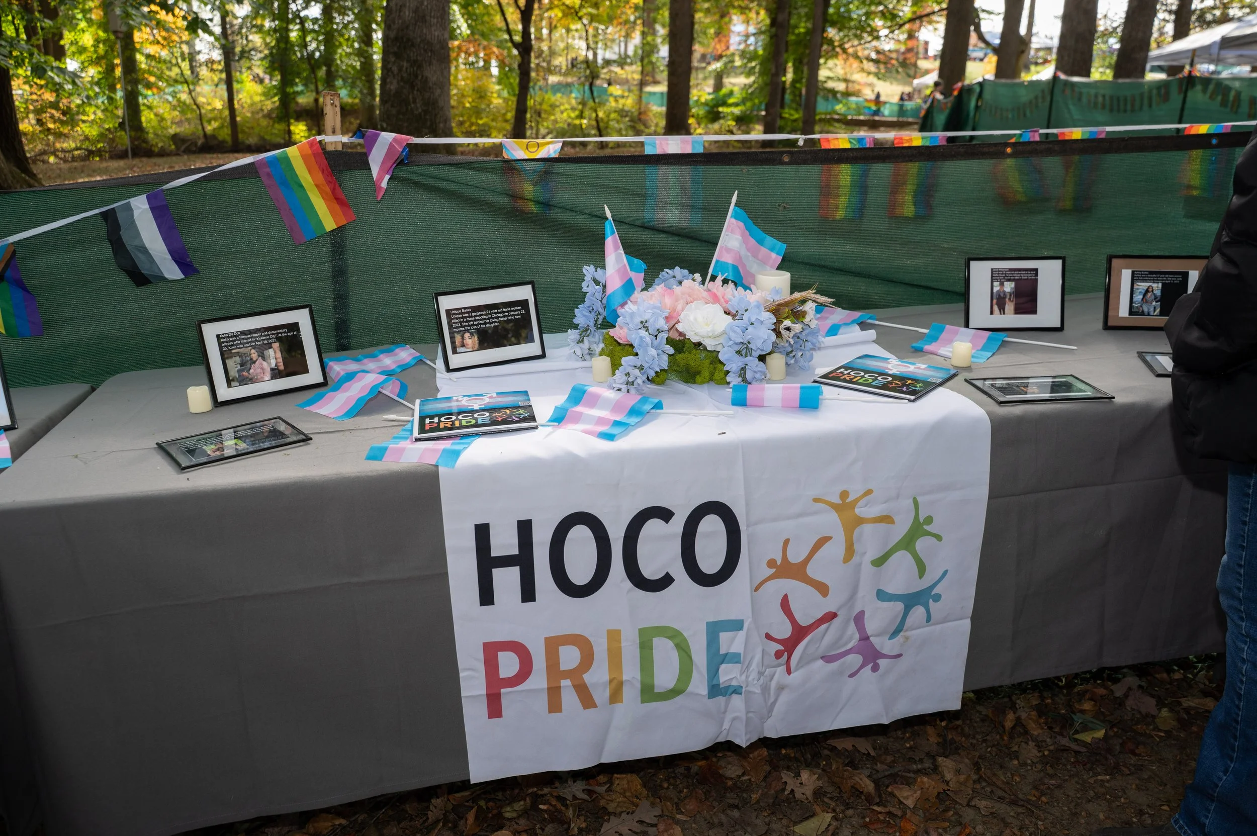 20251026 Pride Chrysalis-1241.jpg