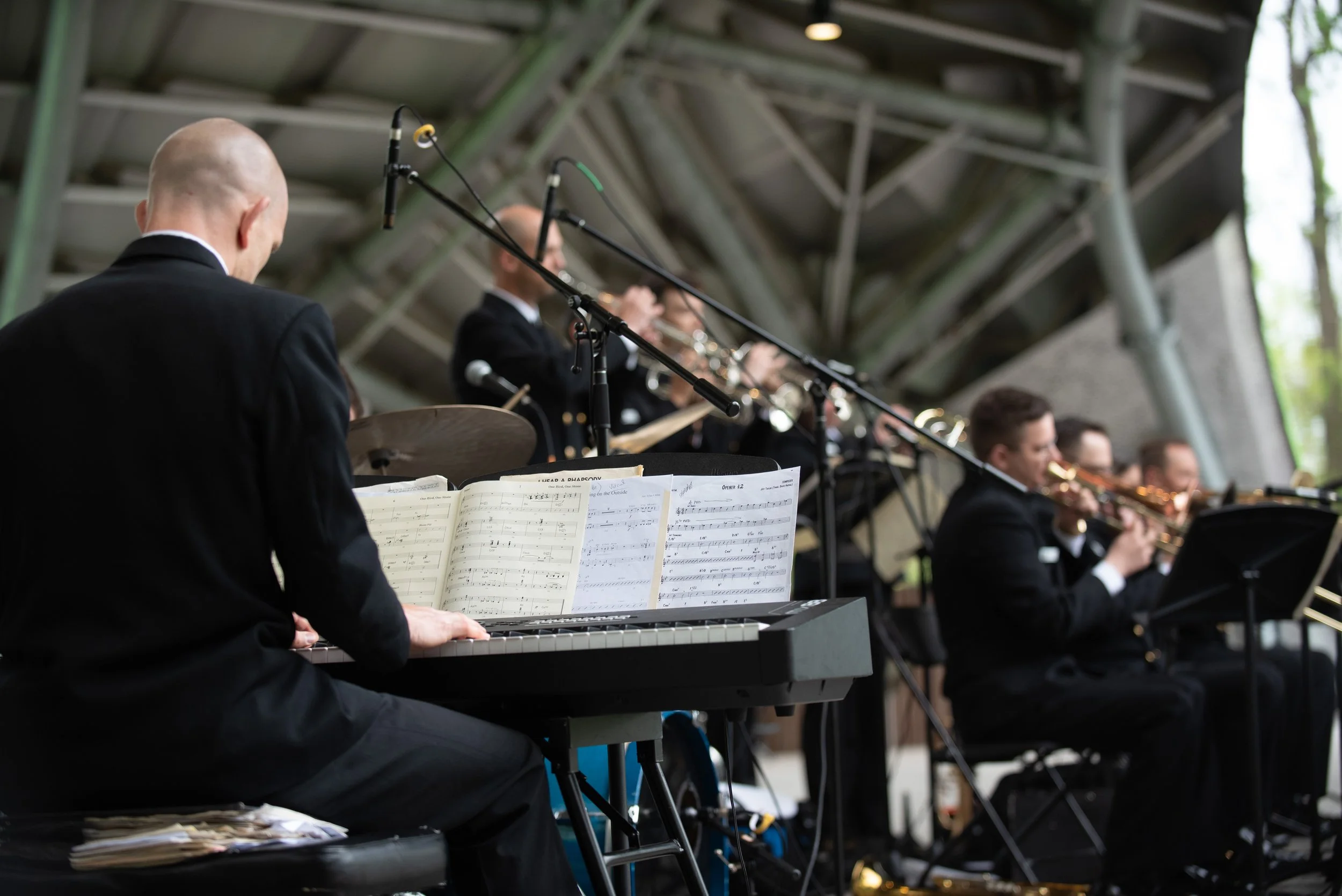 20240427 Jazz in Woods-1337.jpg