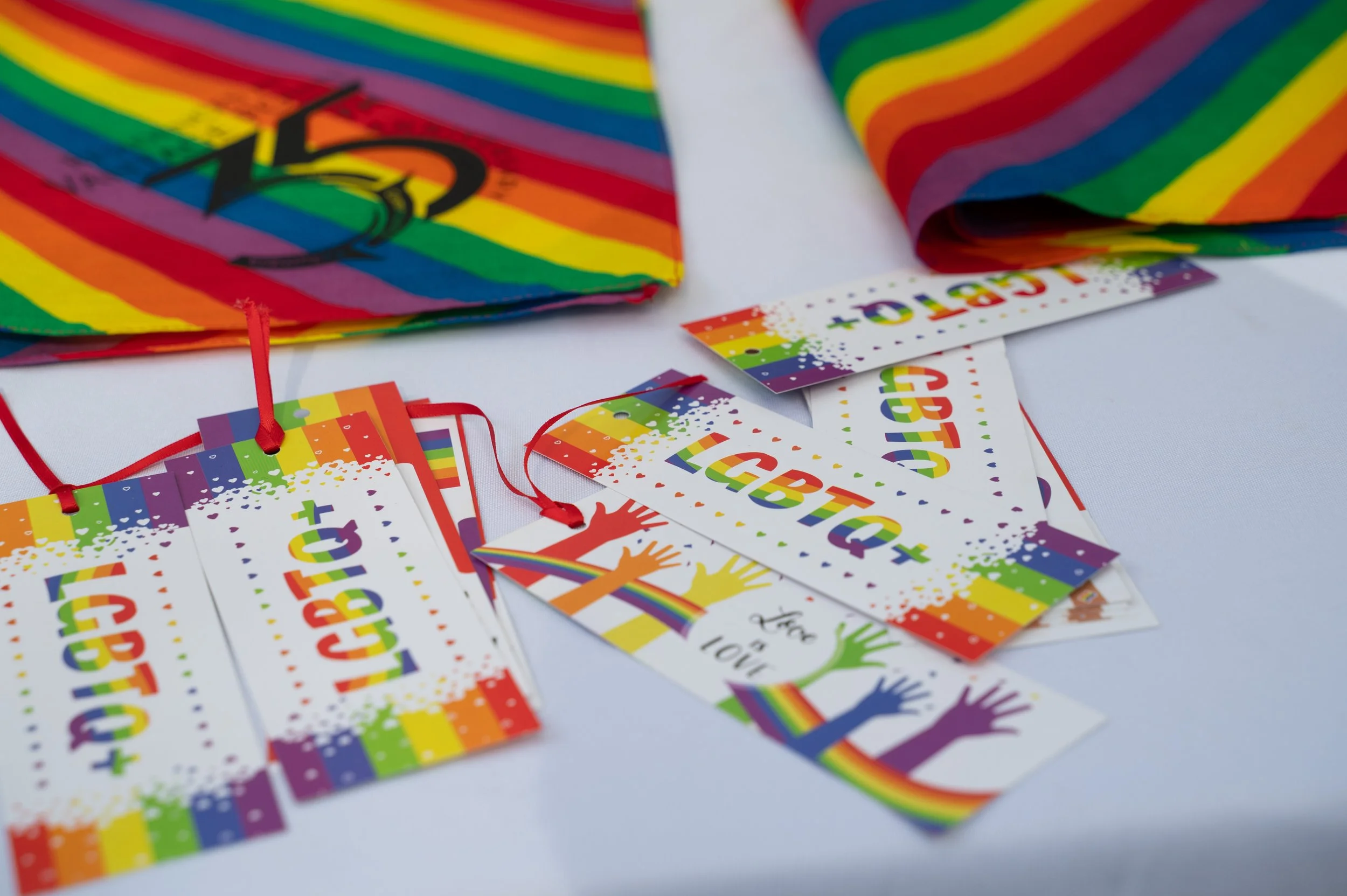 20251026 Pride Chrysalis-1239.jpg