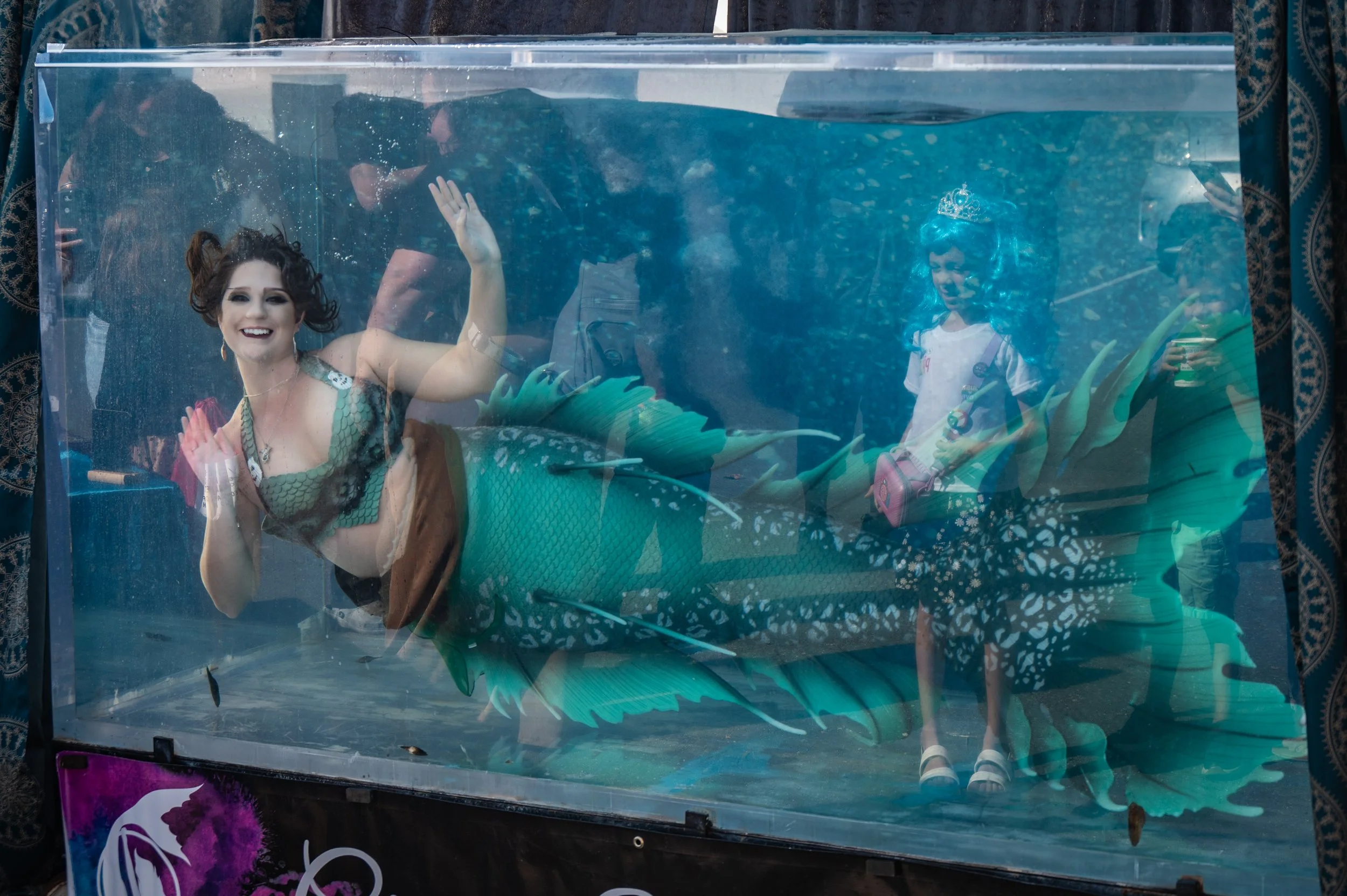 20241013 HOCO Pride Festival Chrysalis-1272.jpg