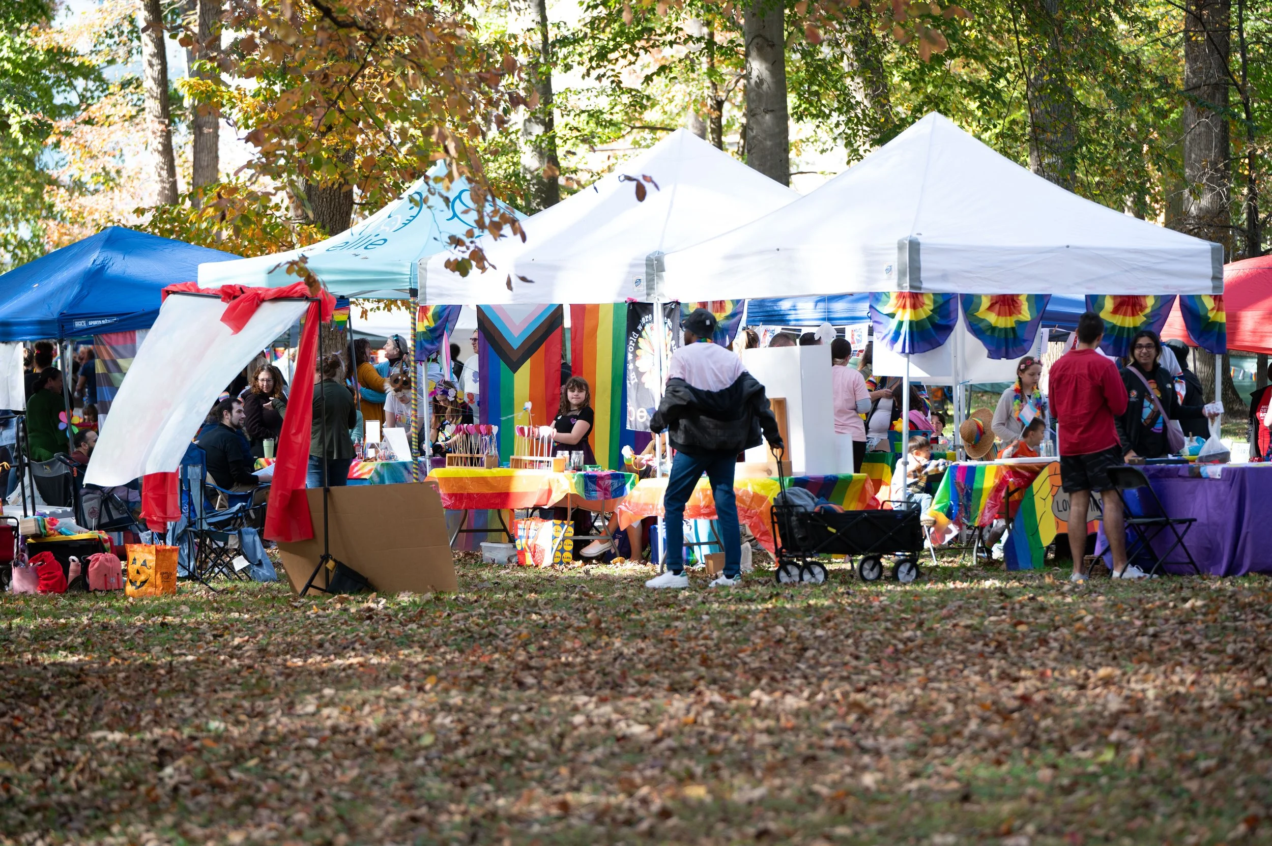20251026 Pride Chrysalis-1381.jpg