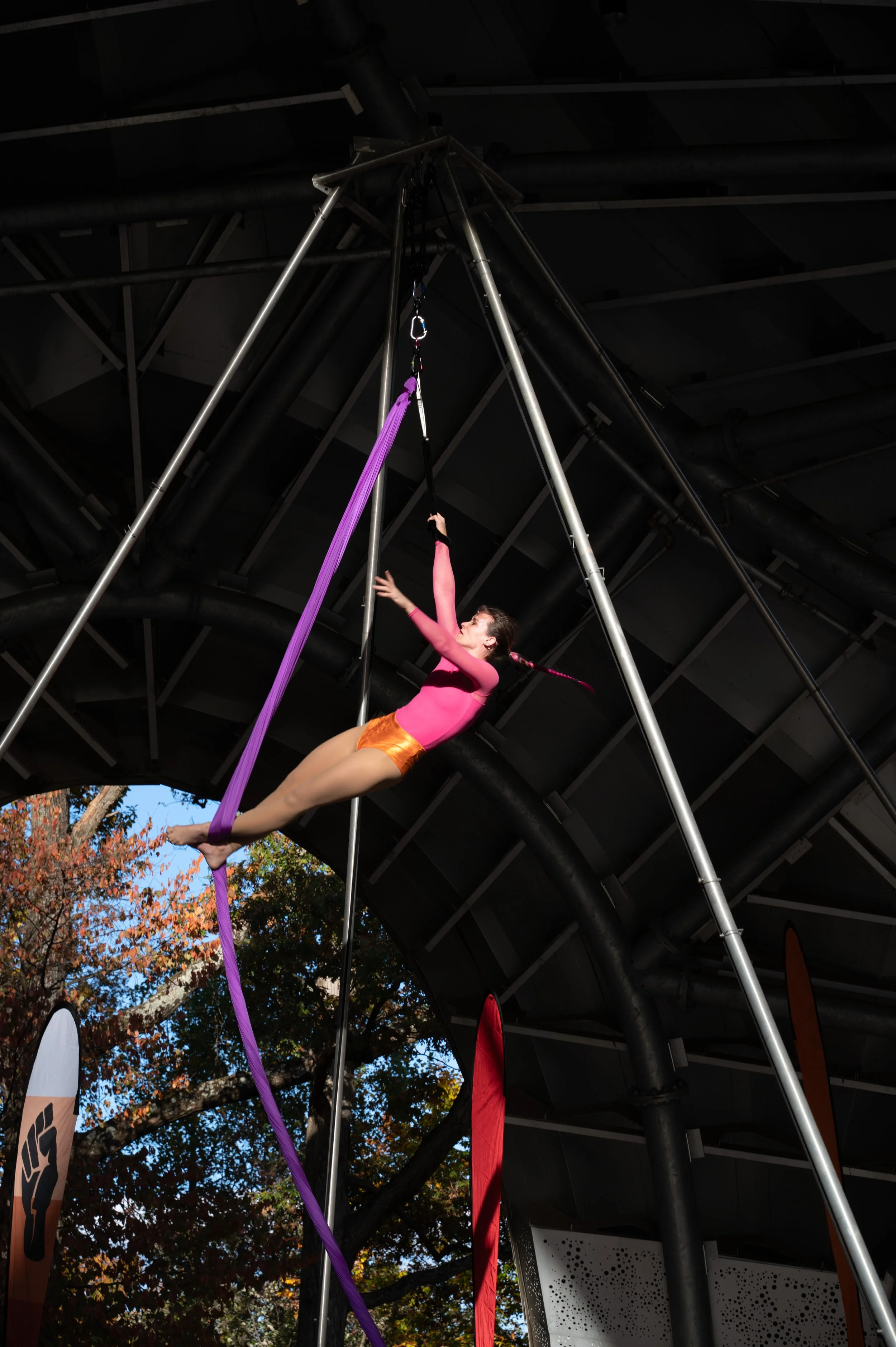 20251026 Pride Chrysalis-1464.jpg