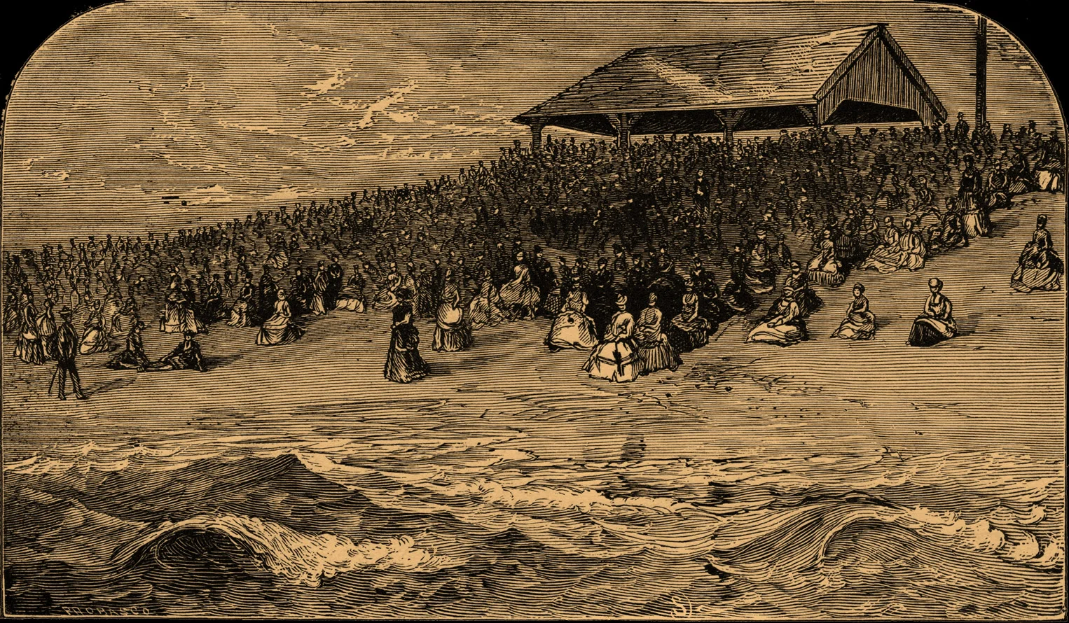 Surf Meeting, blk bgt trim, pumpkin.jpg
