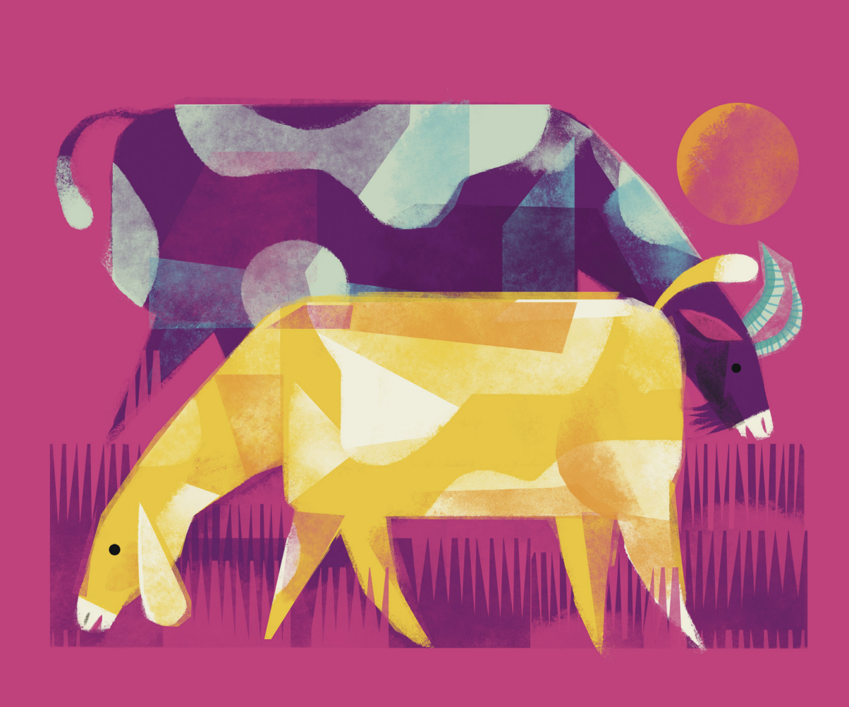 RK Home Connection: Story 017: A Tale of Two Goats 