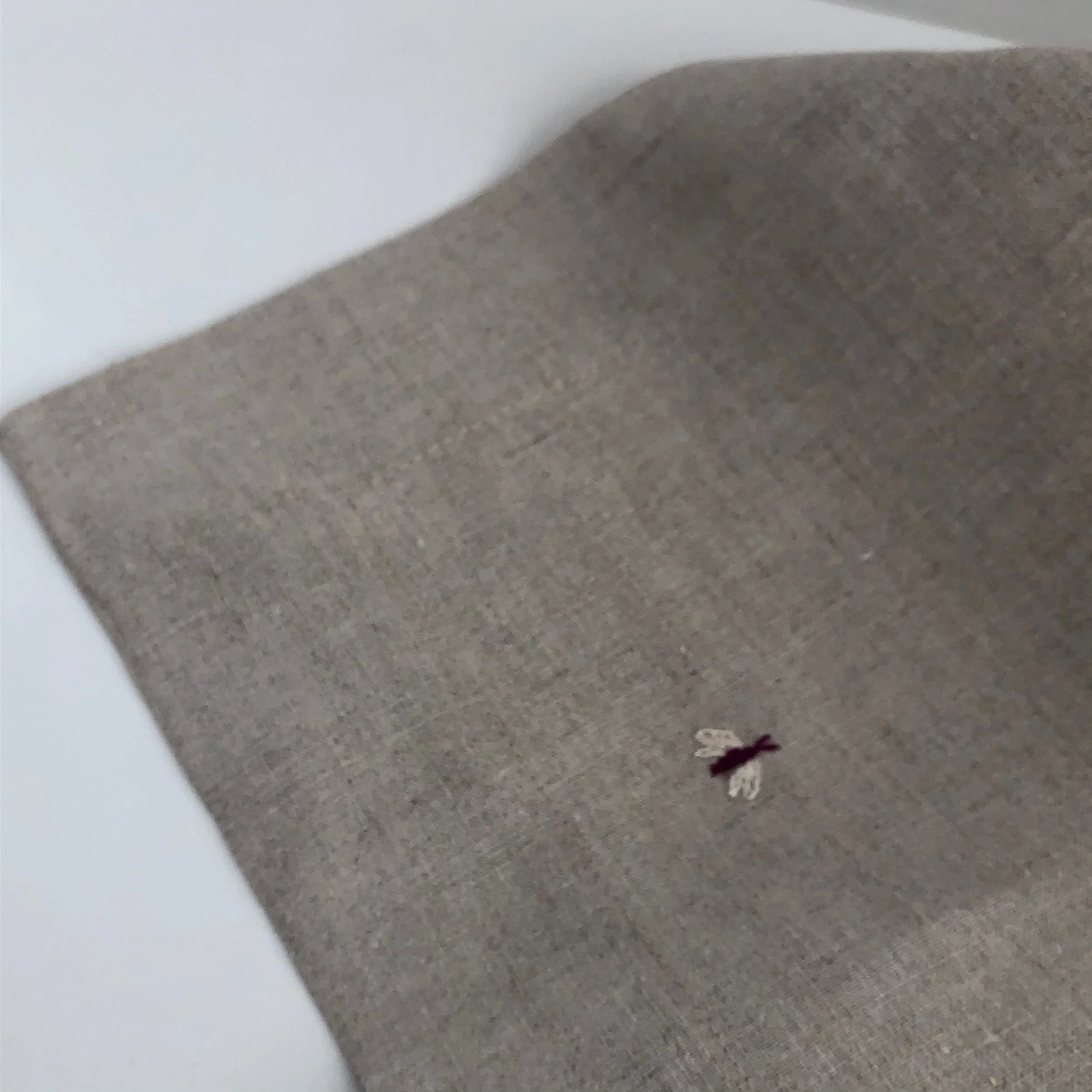 E43A4E48-CDC2-4593-AAD8-79922814AD75