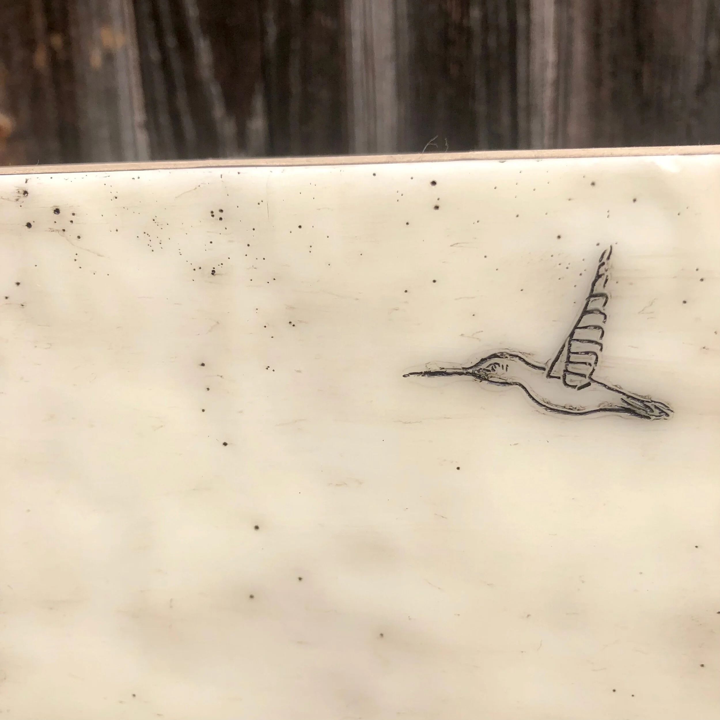 E1BCC10C-5576-4539-809A-48255FBA7FBE