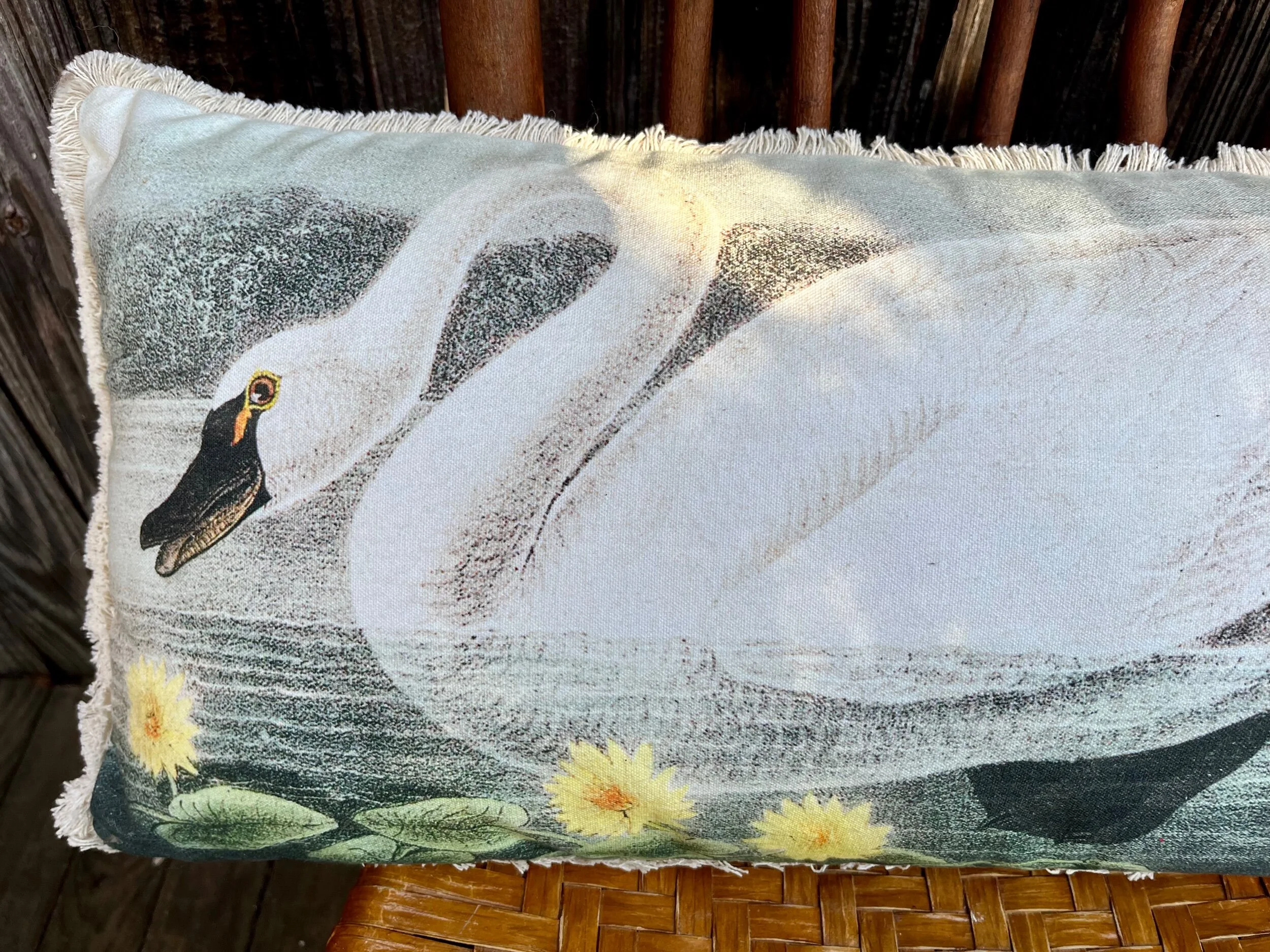 9D468BF8-E19D-4F20-82E1-03B35B48808E