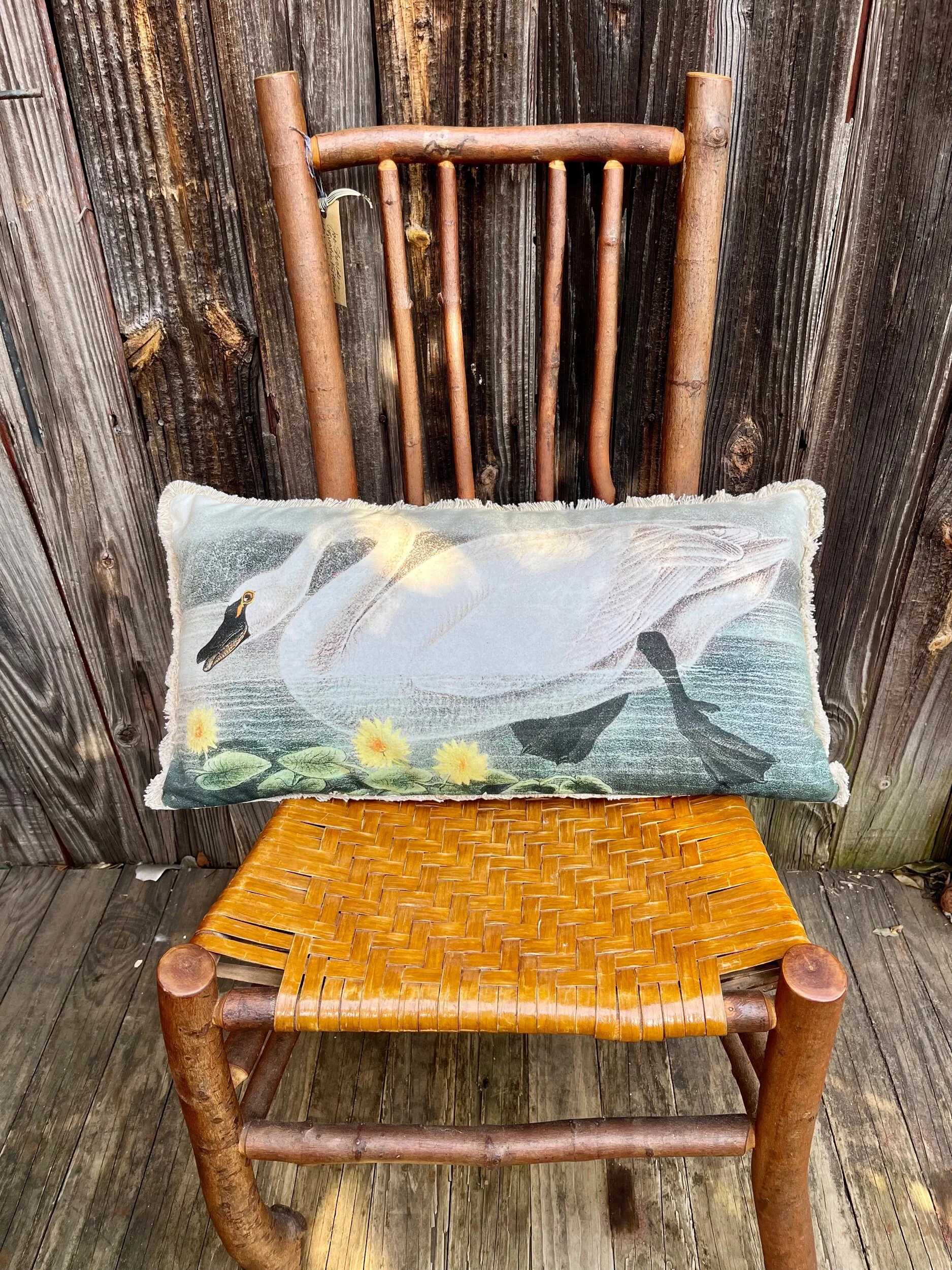 313B7E7B-370F-42C2-8FF0-B1C49D3C4C79