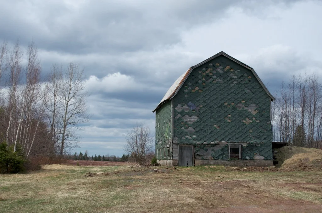 RuralWood-8-1024x679.jpg
