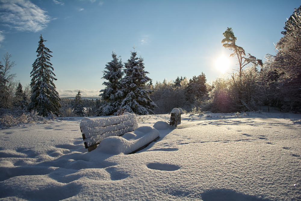 Benches under snow