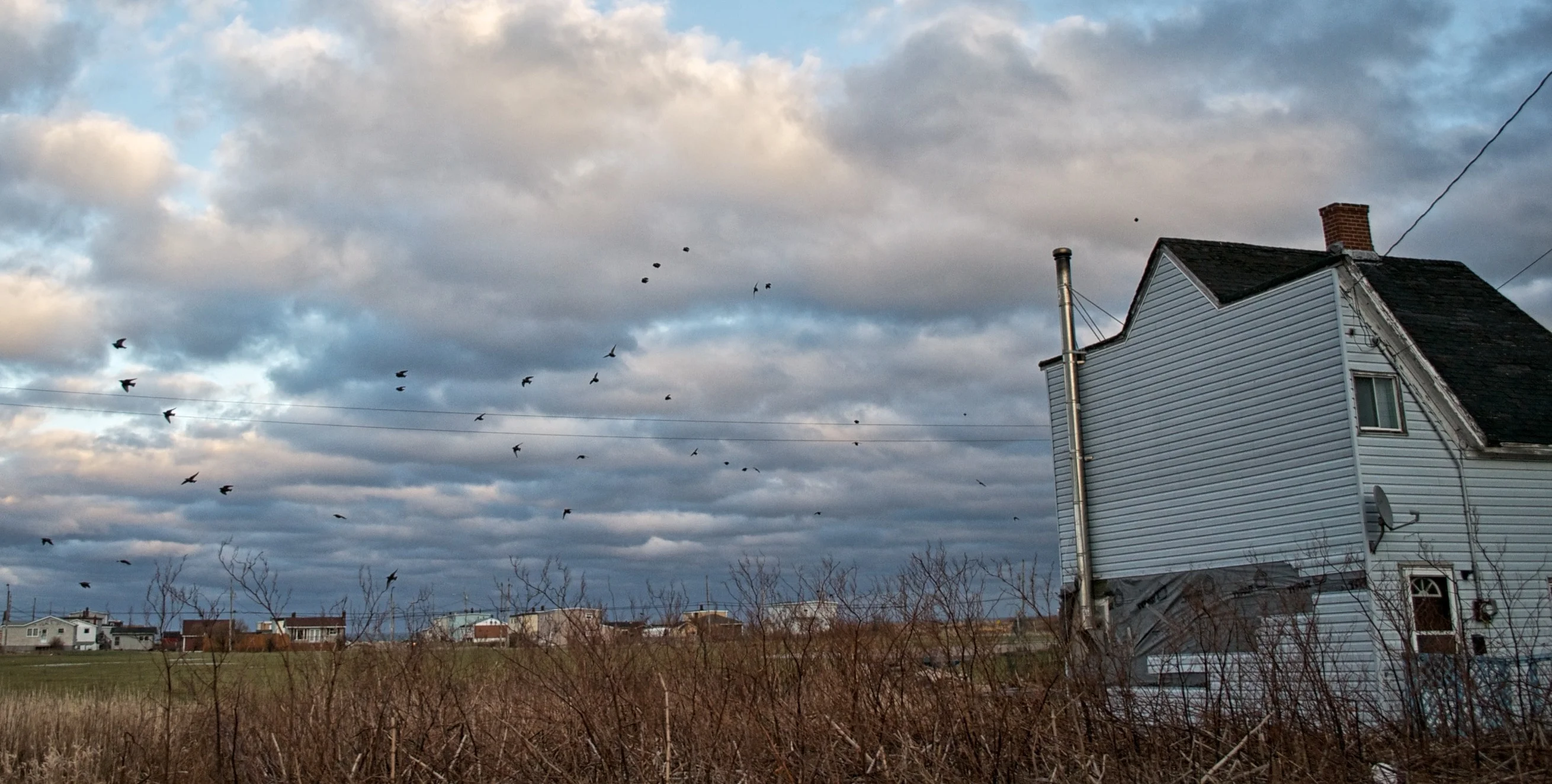 Cape Breton Company Houses