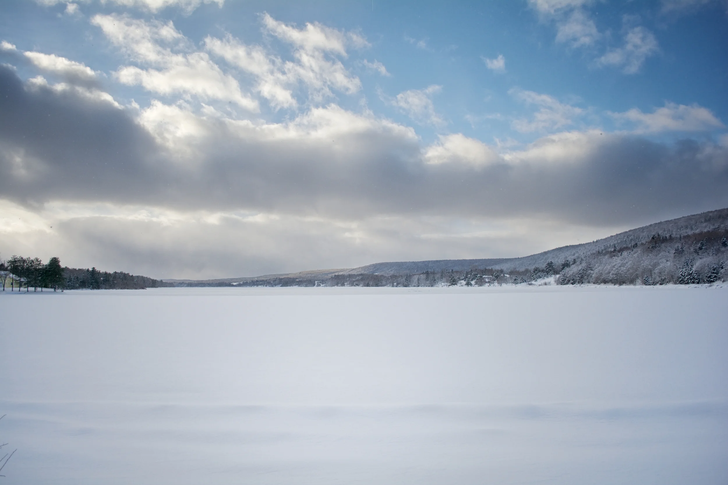 NS Winter 1.jpg
