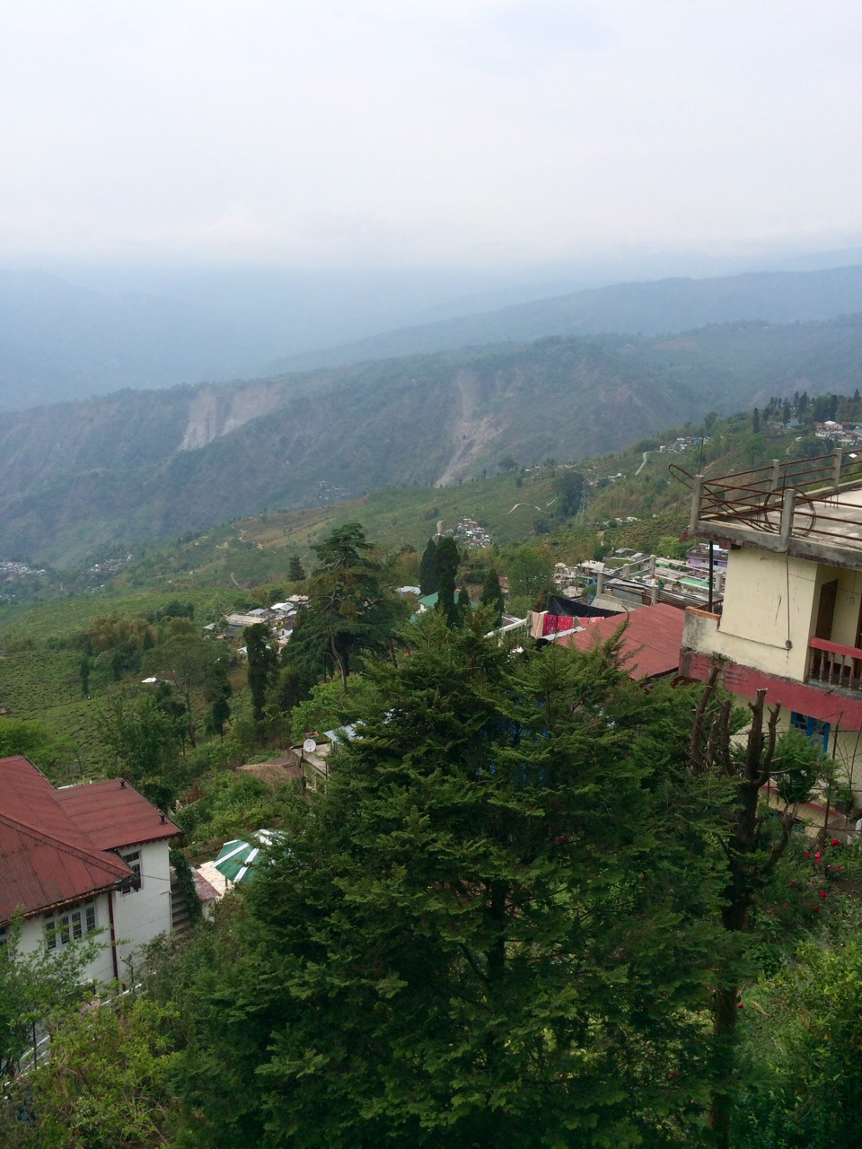 The View from Darjeeling