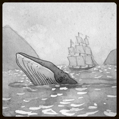 whale.jpg