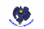 mlsbluebird.jpg