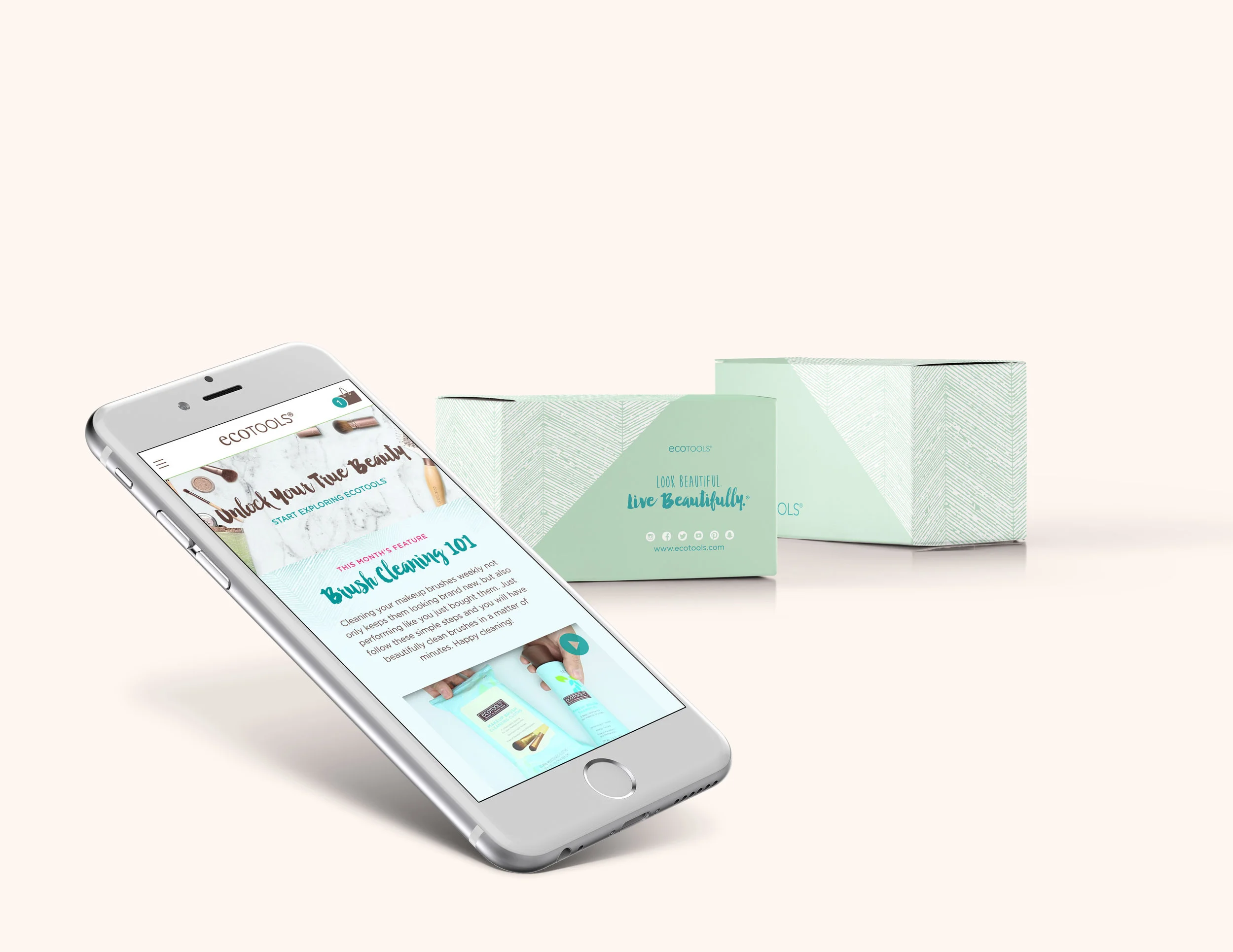 ET_ShippingBox_Mockup.jpg