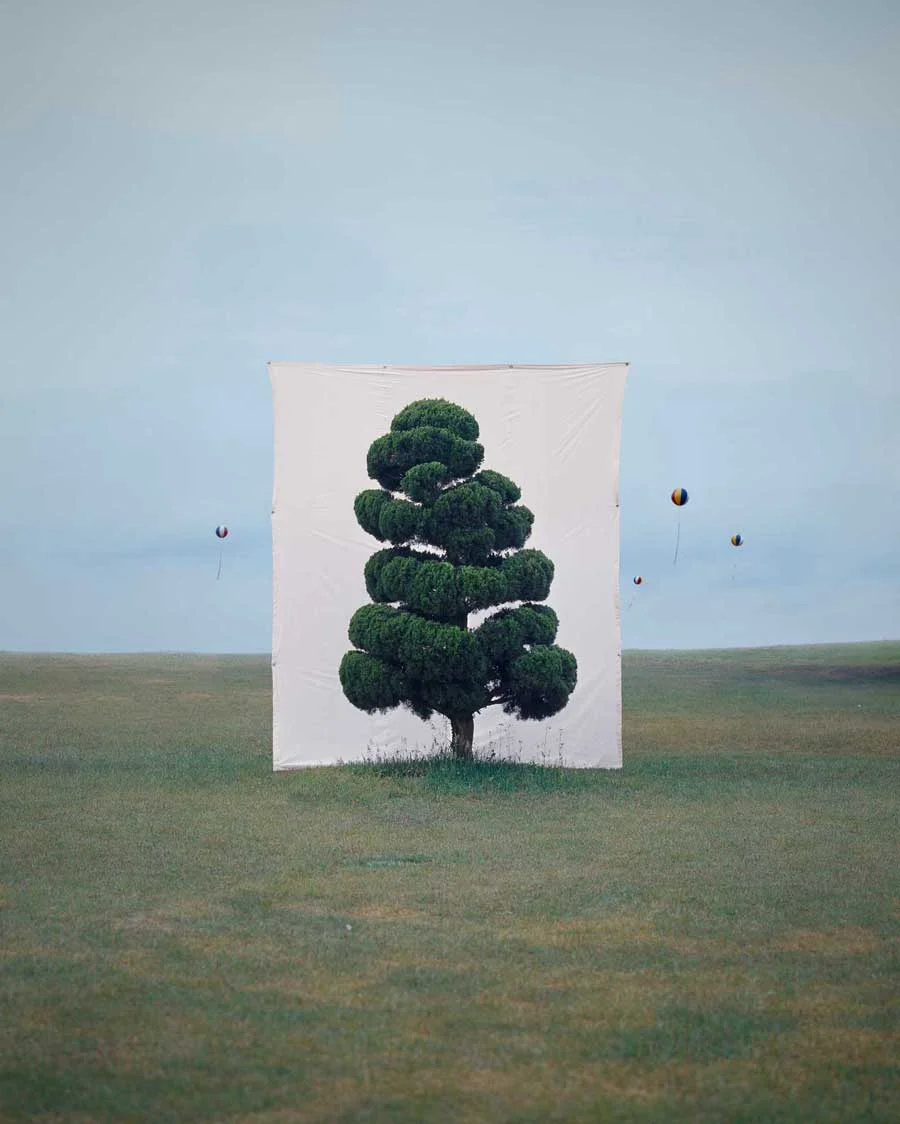 Myoung Ho Lee , Tree #2 , 2006 © Myoung Ho Lee, Courtesy Yossi Milo Gallery, New York 