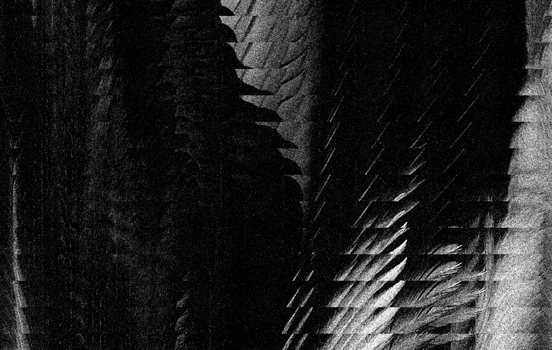 archive - theatre and the epidemic of missing violence