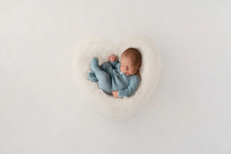 DSC3457-copy copy.jpg