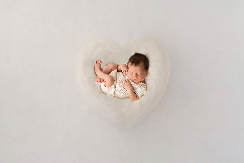 DSC3457-copy copy.jpg