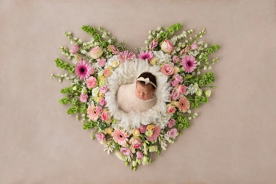 DSC0237-copy 2 copy.jpg