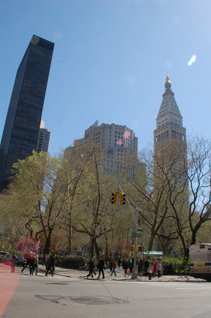 DSC_0043.jpg