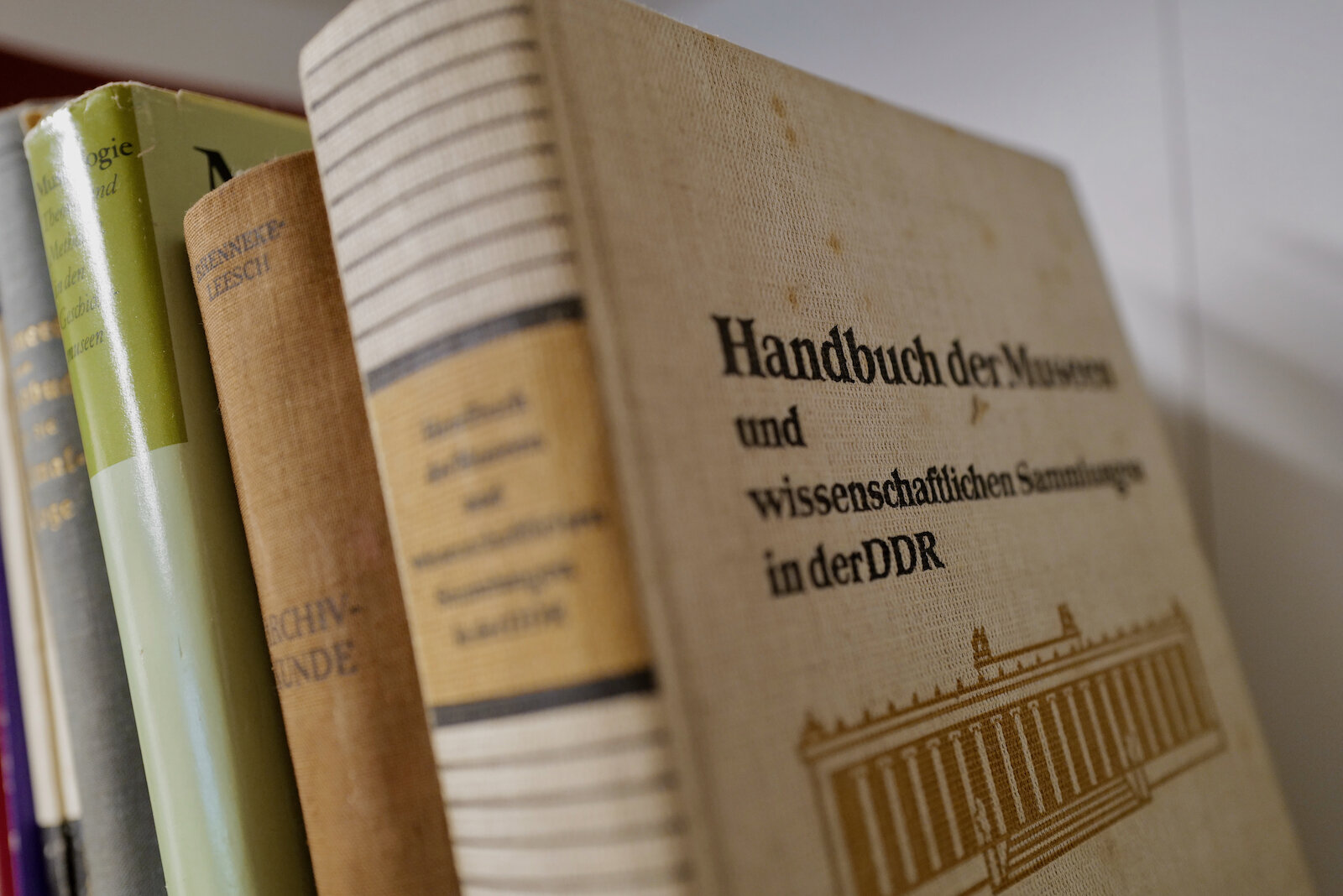 kabinett_waldenburg_mark_benecke_naturalien_mumien_conchylien_embyronen_museum - 24.jpeg