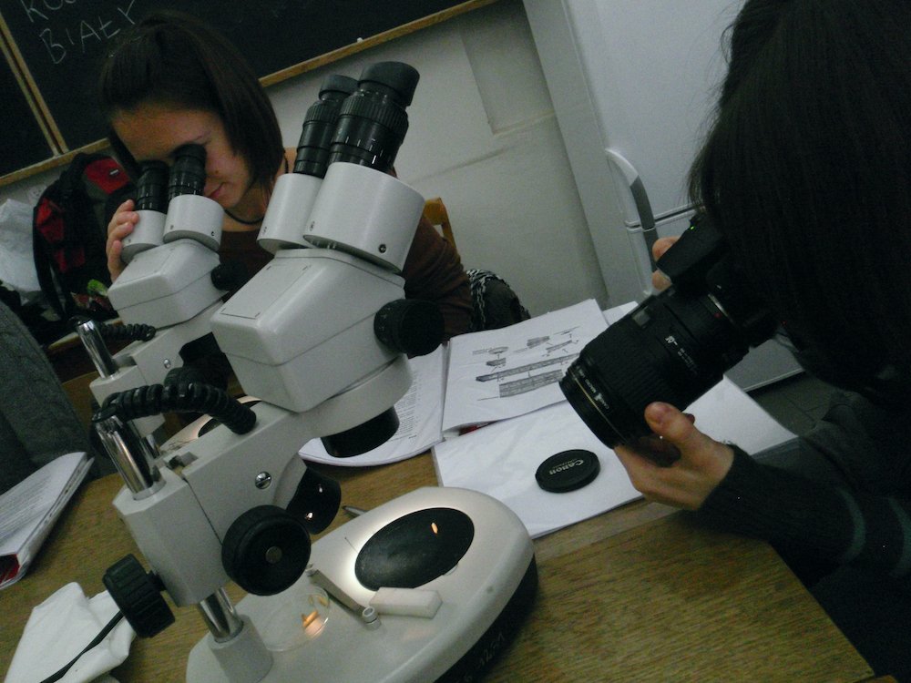 mark_benecke_forensic_entomology_training_torun_szpila - 226.jpeg