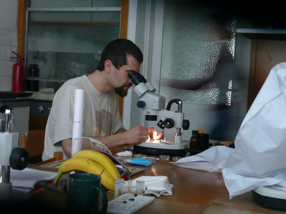mark_benecke_forensic_entomology_training_torun_szpila - 259.jpeg