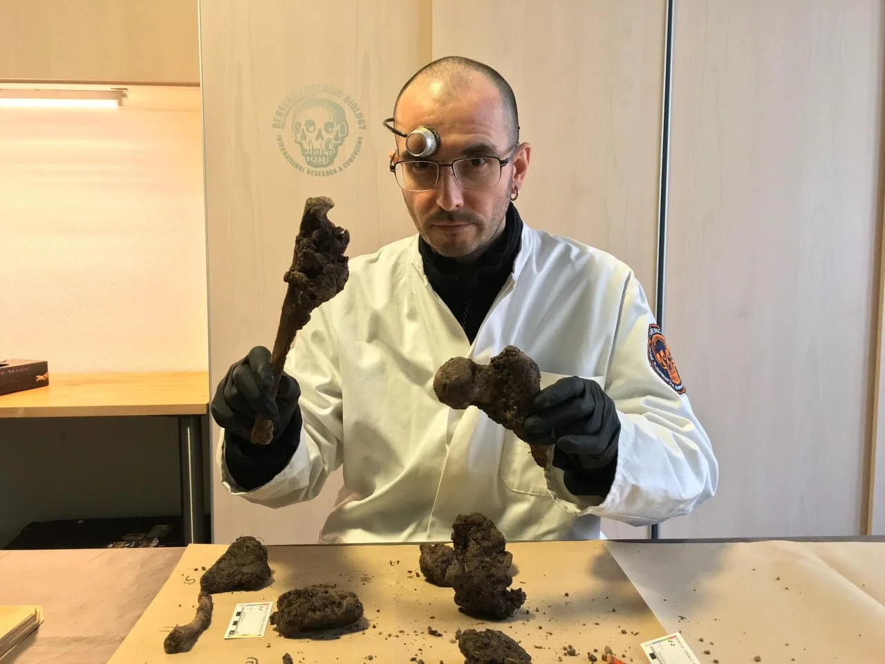 Zur Steigerung der Aussagegenauigkeit bei arthropodenkundlichen Untersuchungen an Faulleichen