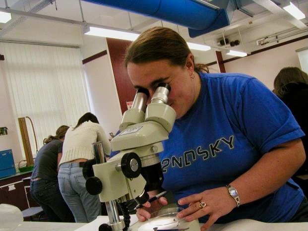 mark_benecke_huddersfield_university_forensic_entomology_trainings - 3.jpeg