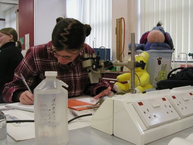 mark_benecke_huddersfield_university_forensic_entomology_trainings - 29.jpeg