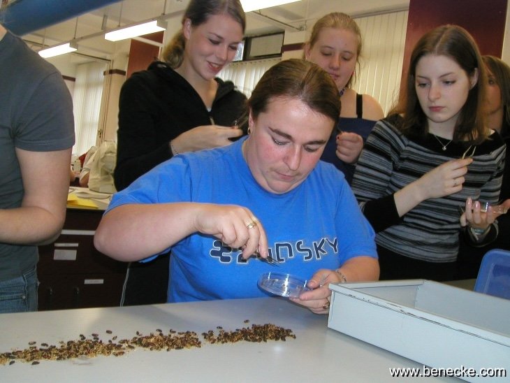 mark_benecke_huddersfield_university_forensic_entomology_trainings - 111.jpeg