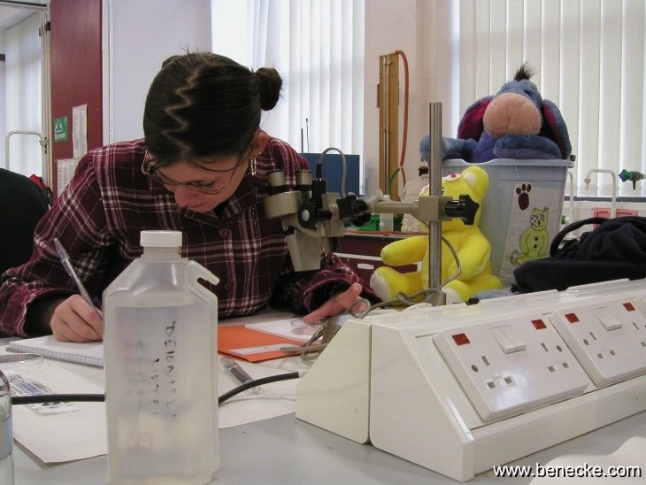 mark_benecke_huddersfield_university_forensic_entomology_trainings - 115.jpeg