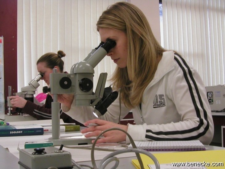 mark_benecke_huddersfield_university_forensic_entomology_trainings - 116.jpeg