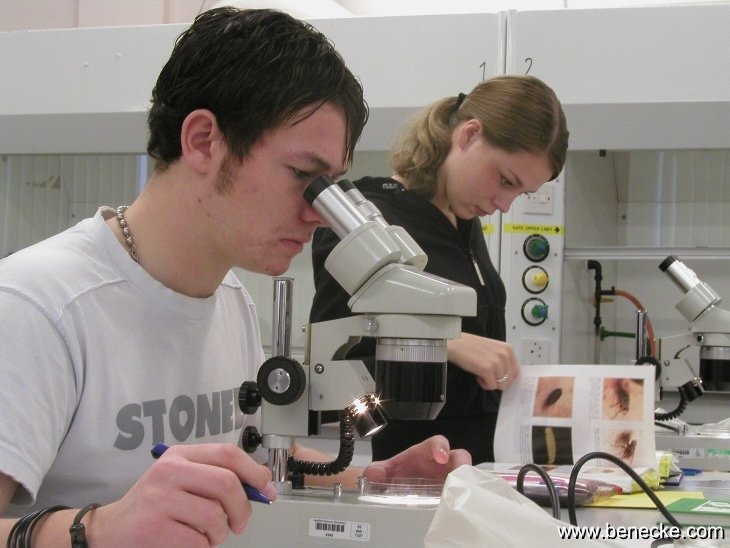 mark_benecke_huddersfield_university_forensic_entomology_trainings - 117.jpeg