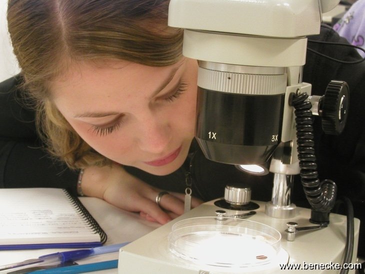 mark_benecke_huddersfield_university_forensic_entomology_trainings - 118.jpeg
